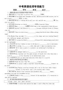 初中英语2024届中考语法复习名词专项练习（附参考答案）