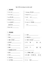 期末复习Unit13 句型知识点与语法练习  人教版九年级英语全册