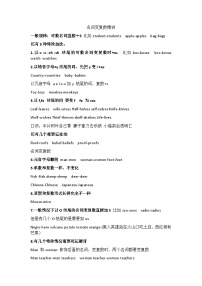 2024年中考英语二轮语法名词变复数专项