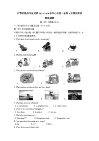 江苏省扬州市宝应县2023-2024学年九年级上学期1月期末英语模拟试题（含答案）