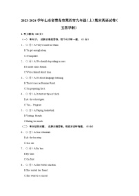 2023-2024学年山东省青岛市莱西市九年级上学期期末英语试卷（五四学制）（含答案）