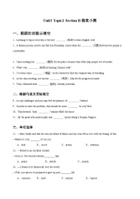 九年级上册Topic 2 Some things usually have different meanings in different cultures.精品复习练习题