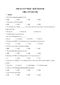 专题14句子成分专练-冲刺中考英语一轮复习语法专练