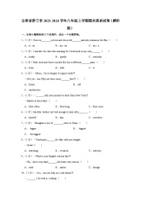 吉林省舒兰市2023-2024学年八年级上学期期末英语试卷