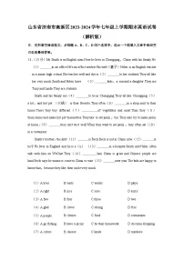山东省济南市高新区2023-2024学年七年级上学期期末英语试卷