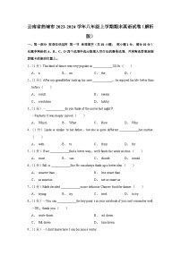 云南省曲靖市2023-2024学年八年级上学期期末英语试卷+