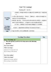 人教新目标 (Go for it) 版七年级下册Section B表格教案设计