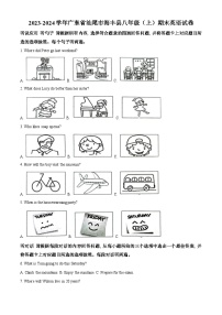 广东省汕尾市海丰县2023-2024学年八年级上学期期末英语试题