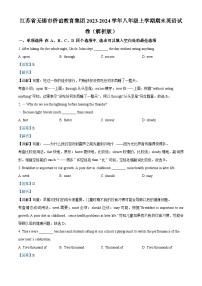 江苏省无锡市侨谊教育集团2023-2024学年八年级上学期期末英语试题