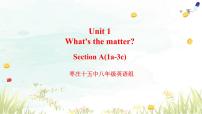 初中英语人教新目标 (Go for it) 版八年级下册Section A集体备课ppt课件