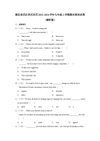 湖北省武汉市武昌区2023-2024学年九年级上学期期末英语试卷