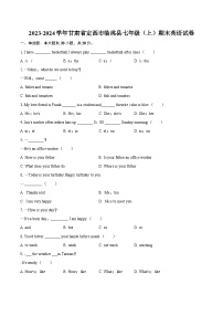 2023-2024学年甘肃省定西市临洮县七年级（上）期末英语试卷（含解析）.docx2023-2024学年甘肃省定西市临洮县七年级（上）期末英语试卷（