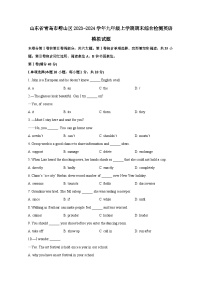 山东省青岛市崂山区2023-2024学年九年级上册期末综合检测英语模拟试题（附答案）