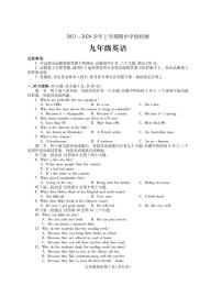 河南省平顶山市郏县2023-2024学年九年级上学期期中学情检测英语试题