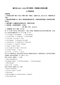 陕西省渭南市潼关县2023-2024学年九年级上学期期末考试英语试题(含答案)