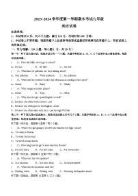 河南省漯河市临颍县2023-2024学年九年级上学期期末英语试题（含答案）