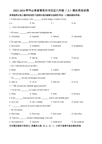 山东省青岛市市北区2023-2024学年八年级上学期期末英语试题（原卷+解析）