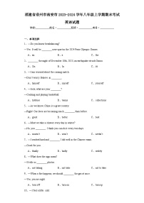 福建省泉州市南安市2023-2024学年八年级上学期期末考试英语试题(含答案)