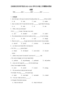 云南省红河州泸西县2023-2024学年九年级上学期期末英语试题(含答案)