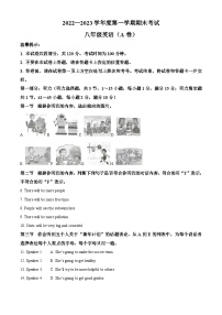 山东省枣庄市山亭区2022--2023学年八年级上学期英语期末考试试题（原卷+解析）
