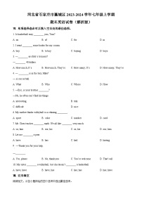 河北省石家庄市藁城区2023-2024学年七年级上学期期末英语试题（原卷+解析）