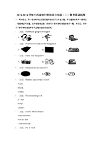 2023-2024学年江苏省徐州市沛县七年级上学期期中英语试卷（含答案）