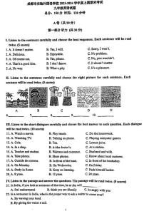 四川省成都外国语学校2023-2024学年九年级上学期英语期末试题