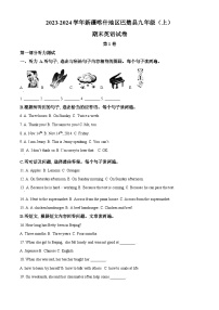 新疆喀什地区巴楚县2023-2024学年九年级上学期期末英语试题（原卷版+解析版）