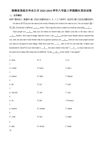 湖南省娄底市冷水江市2023-2024学年八年级上学期期末英语试题（原卷版+解析版）