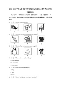 2023-2024学年山东省济宁市任城区九年级上学期期中英语试卷（五四学制）（含答案）