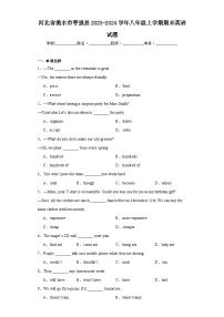 河北省衡水市枣强县2023-2024学年八年级上学期期末英语试题(含答案)