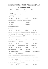 甘肃省武威市凉州区金羊镇九年制学校2023-2024学年八年级上学期期末英语试题(含答案)
