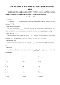 广东省茂名市信宜市2023-2024学年八年级上学期期末英语试题（原卷版+解析版）