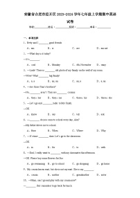 安徽省合肥市经开区2023-2024学年七年级上学期期中英语试卷(含答案)
