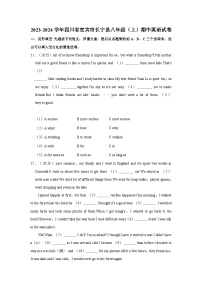 2023-2024学年四川省宜宾市长宁县八年级上学期期中英语试卷（含答案）