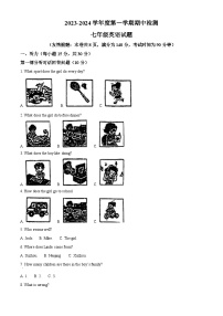 江苏省徐州市第十三中学2023-2024学年上学期期中检测七年级英语试题（原卷版+解析版）