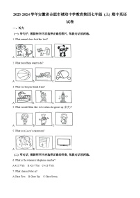 安徽省合肥市琥珀中学教育集团2023-2024学年七年级上学期期中英语试卷（原卷版+解析版）