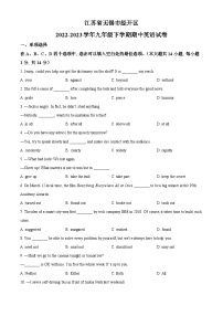 江苏省无锡市经开区2022-2023学年九年级下学期期中英语试题（原卷版+解析版）