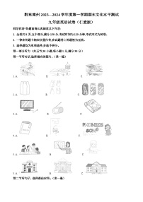 贵州省黔东南州2023-2024学年九年级上学期期末文化水平测试英语试题（原卷版+解析版）