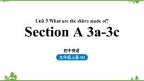 人教新目标 (Go for it) 版九年级全册Section A图片课件ppt