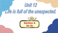 英语九年级全册Unit 12 Life is full of the unexpected.Section A背景图ppt课件