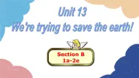 初中英语人教新目标 (Go for it) 版九年级全册Unit 13 We’re trying to save the earth!Section B示范课课件ppt
