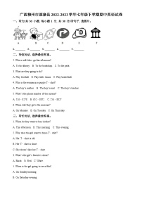 广西柳州市鹿寨县2022-2023学年七年级下学期期中英语试题（原卷版+解析版）