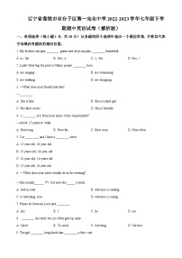 辽宁省盘锦市双台子区第一完全中学2022-2023学年七年级下学期期中英语试题（原卷版+解析版）