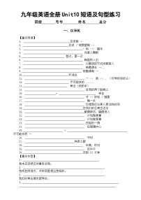 初中英语人教新目标 (Go for it) 版九年级全册Unit 10 You’re supposed to shake hands.综合与测试同步练习题