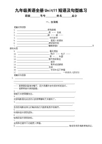 初中英语人教新目标 (Go for it) 版九年级全册Unit 11 Sad movies make me cry.综合与测试课堂检测