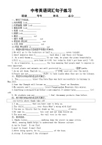 初中英语人教新目标2024届中考词汇句子练习系列0306（附参考答案）全国通用