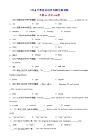 专题06 名词100题