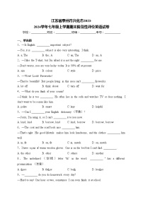 江苏省泰州市兴化市2023-2024学年七年级上学期期末阶段性评价英语试卷(含答案)