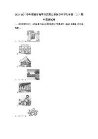 2023-2024学年福建省南平市武夷山市岚谷中学九年级（上）期中英语试卷